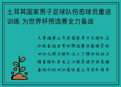 土耳其国家男子足球队伤愈球员重返训练 为世界杯预选赛全力备战