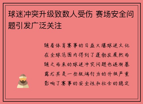 球迷冲突升级致数人受伤 赛场安全问题引发广泛关注
