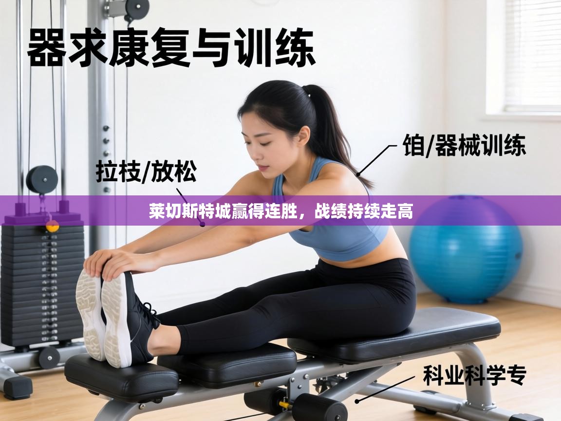 莱切斯特城赢得连胜，战绩持续走高  第2张